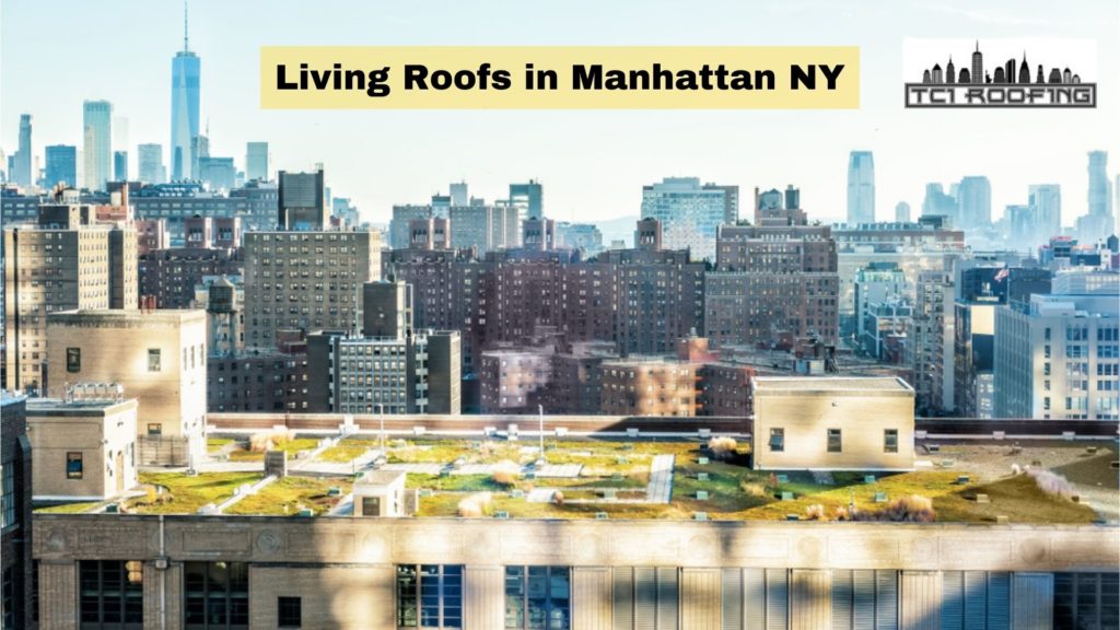 Living Roofs in Manhattan NY
