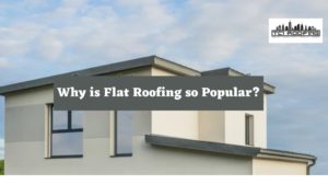 Why is Flat Roofing so Popular